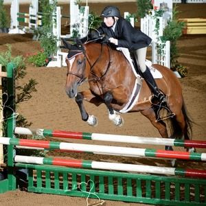 Meet your Posher, Shannon